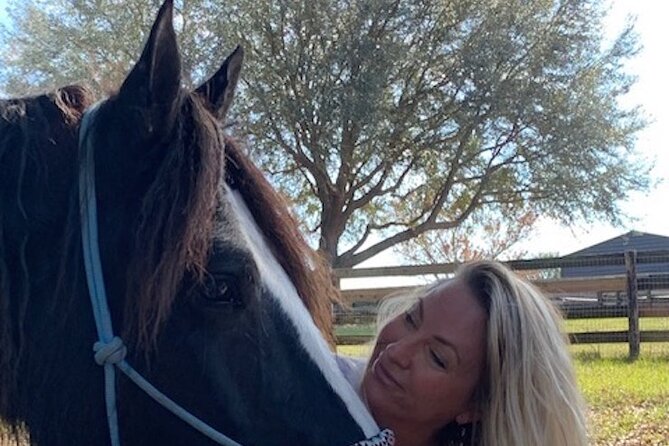 90 Minutes of Mindfulness With Draft Horses in Florida - Horseback Riding Lessons