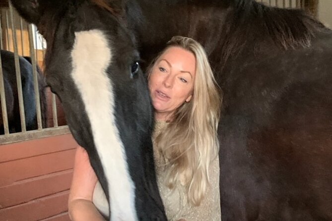 90 Minutes of Mindfulness With Draft Horses in Florida - Rejuvenating Mindfulness Experience