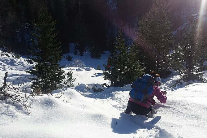 9D8N Bosnian Winter Holiday (Winter With Funky Tours) - Inclusions