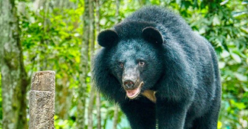 A 10-Day Ethical Animals Tour of Cambodia - Accommodations and Inclusions