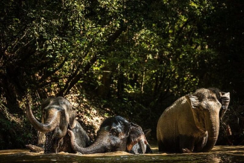 A 10-Day Ethical Animals Tour of Cambodia - Frequently Asked Questions
