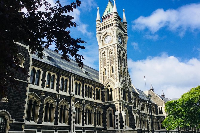 A 2 Hour Small Group Dunedin City Highlights Tour - Accessibility and Infant Seating