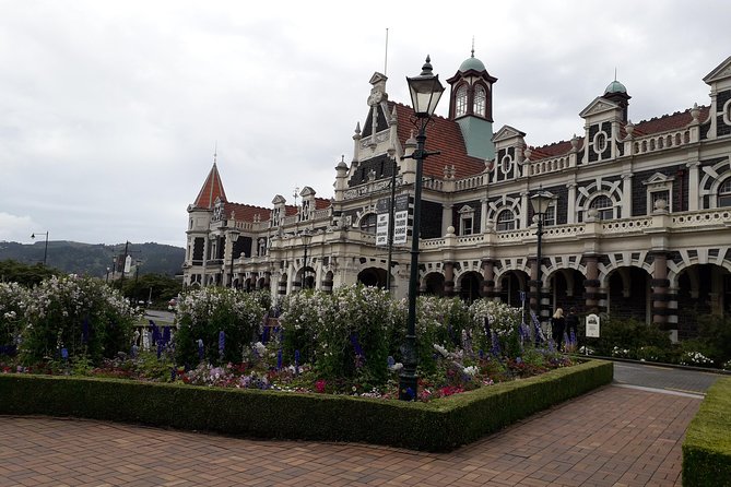 A 2 Hour Small Group Dunedin City Highlights Tour - Tour Reviews and Ratings