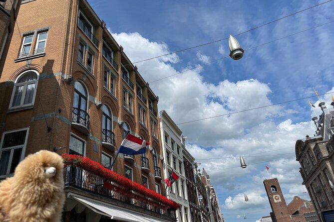 A 3 Days Tour of Belgium and Netherlands From Paris - Accessibility Features