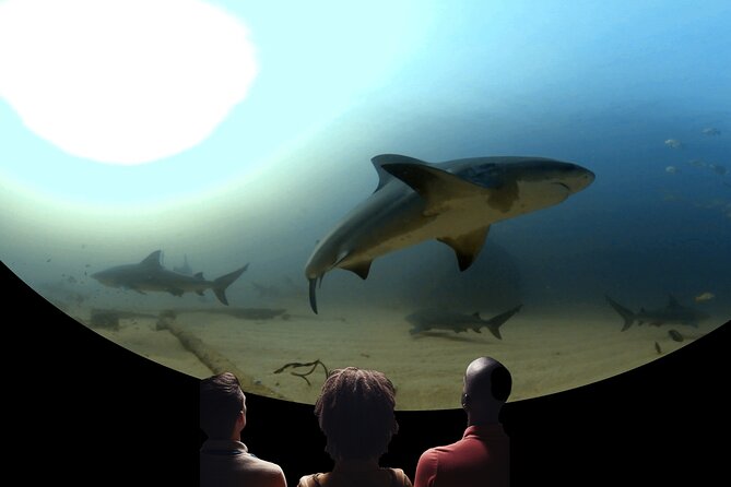 A 360° Immersive Ocean Movie Experience (Catalina Island) - Accessibility and Visitor Accommodations