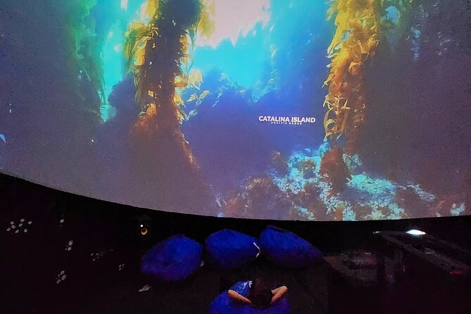 A 360° Immersive Ocean Movie Experience (Catalina Island) - Positive Visitor Feedback Highlights