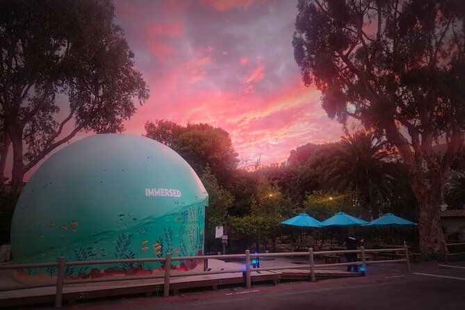 A 360° Immersive Ocean Movie Experience (Catalina Island) - Negative Visitor Feedback Concerns