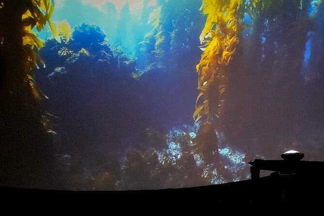 A 360° Immersive Ocean Movie Experience (Catalina Island) - Assessing the Atmospheric Experience