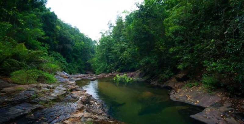 A 7-Day Nature and Wildlife Exploring - Accommodation Details
