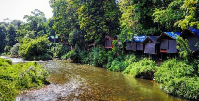 A 7-Day Nature and Wildlife Exploring - Included Services