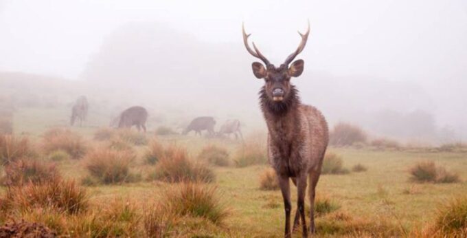 A 7-Day Nature and Wildlife Exploring - Frequently Asked Questions