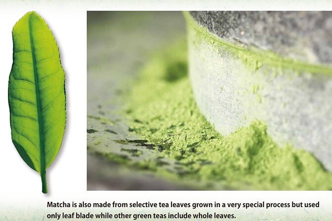 A 90 Min. Tea Ceremony Workshop in the Authentic Tea Room - Experiencing the Tea Ceremony