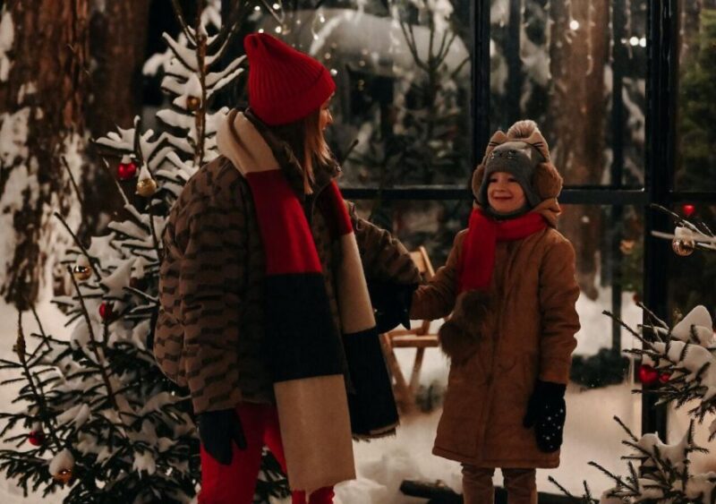 A Bostonian Christmas Tour - Itinerary Highlights
