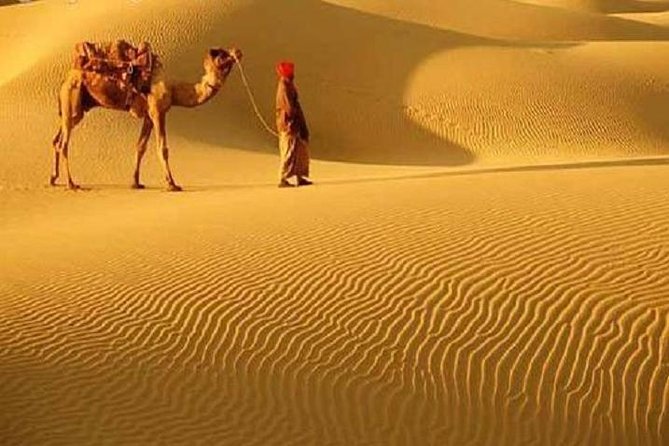 A Camel Safari Through The Thar Desert Sand Dunes Near Bikaner - Good To Know