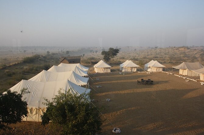A Camel Safari Through The Thar Desert Sand Dunes Near Bikaner - Camel Riding Through the Dunes