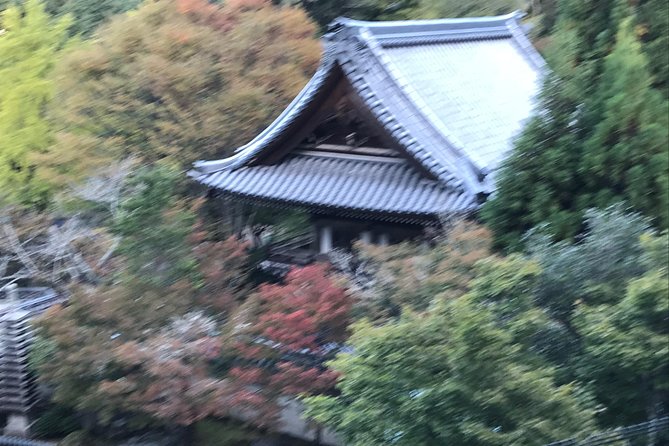 A Chauffeur Driven Tour: Hiroshima & Miyajima or Temple Gardens - Meeting and Pickup Information