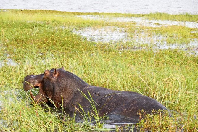 A Chobe Full Day Tour - Botwana - Inclusions and Exclusions