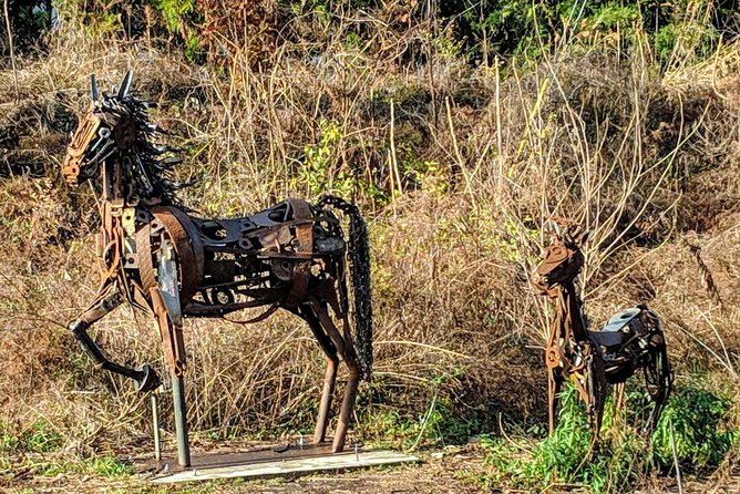 A City in a Forest: Private Atlanta Nature Tour - Exploring Piedmont Park