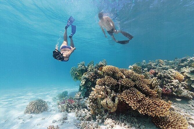 A Cook Islands Turtle Tour - small groups, premium experience - Key Points