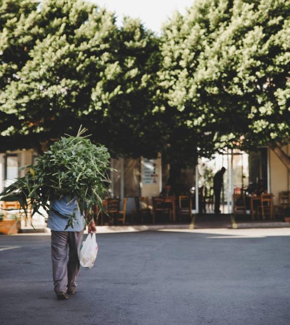 A Culinary Journey to Lassithi Plateau. From Heraklion. - Engagement With Local Culture