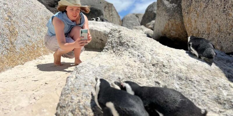A Curious Adventure Through Chapman'S Peak Drive: Cape Point - Itinerary Highlights