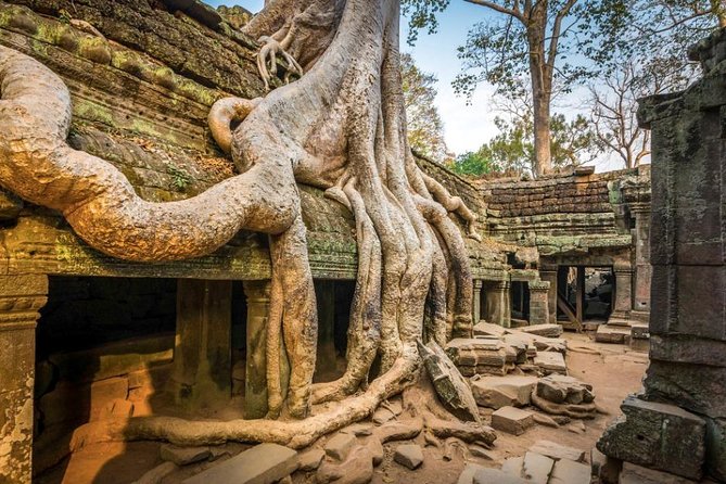 A Day Angkor Wat Tempel Tour - Memorable Experience