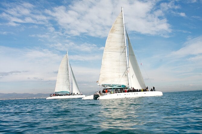 A Day at Sea From Dénia or Jávea With Barbecue Aboard the Catamaran - Considerations and Cautions