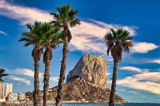 A Day at Sea on a Catamaran From Calpe or Altea With Barbecue - Traveler Feedback Verification