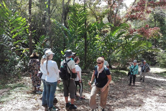A Day at the Asa Wright Nature Center - Practical Considerations