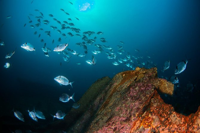 A Day at the Beach and Diving - Diving Certification Requirements
