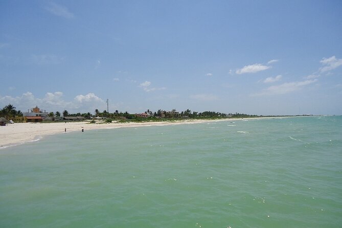 A Day at the Beach in Sisal - Customer Reviews and Ratings