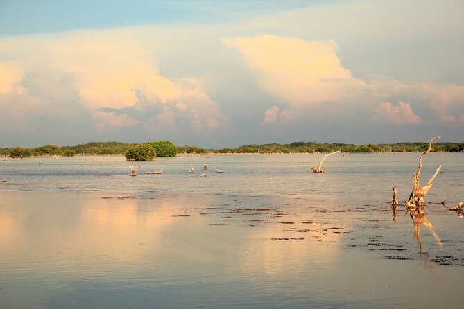 A Day at the Beach in Sisal - Frequently Asked Questions
