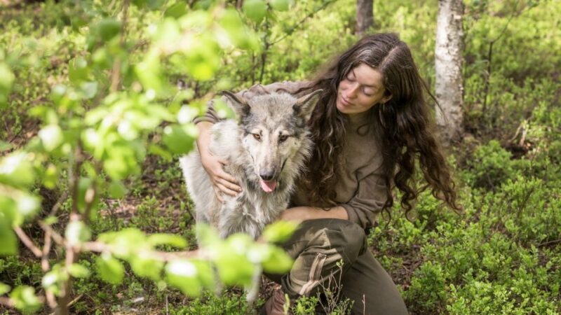 A Day at Wolfland - Private Tour - Guided Tour and Hike