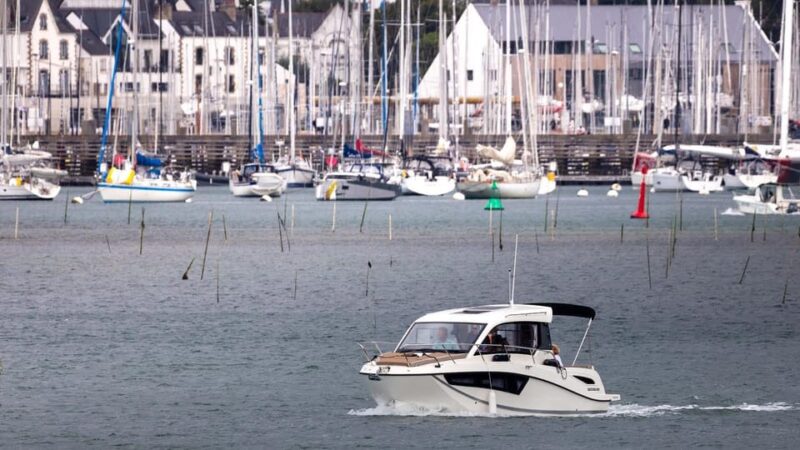A Day Discovering the Gulf of Morbihan by Boat - Lunch at Waterfront Restaurants