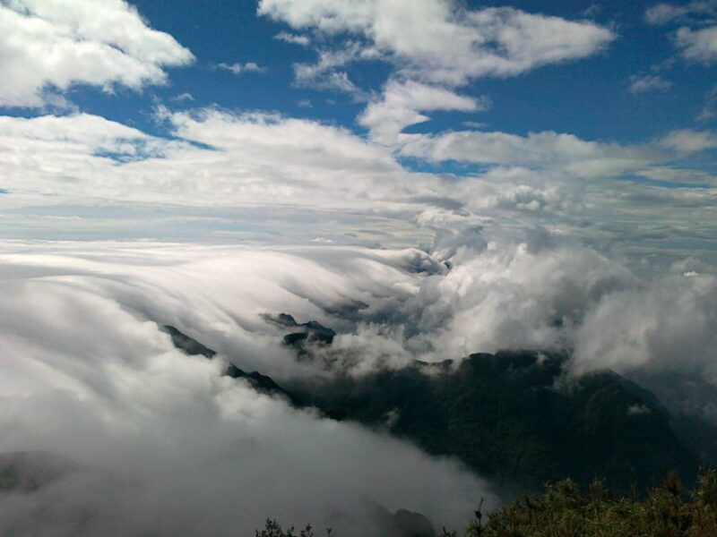 A Day Fansipan Trekking - Itinerary Breakdown