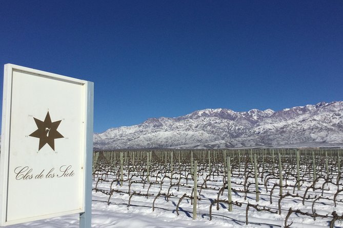 A Day in "Clos De Los Siete": - Clos De Los Sietes Collaborative Vision