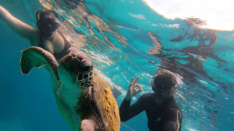 A Day in Ilha Grande Snorkeling With Turtles Private - Inclusions and Exclusions
