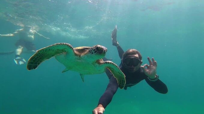 A Day in Ilha Grande Snorkeling With Turtles Private - Visiting Beaches and Corals