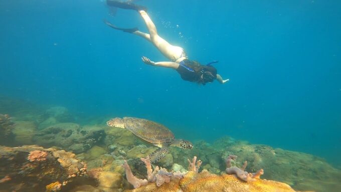 A Day in Ilha Grande Snorkeling With Turtles Private - Private Boat Tour Experience