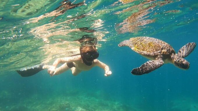 A Day in Ilha Grande Snorkeling With Turtles Private - Booking and Pricing Details