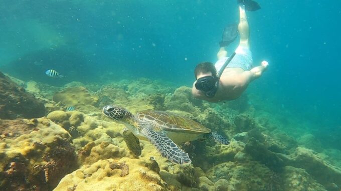 A Day in Ilha Grande Snorkeling With Turtles Private - Frequently Asked Questions