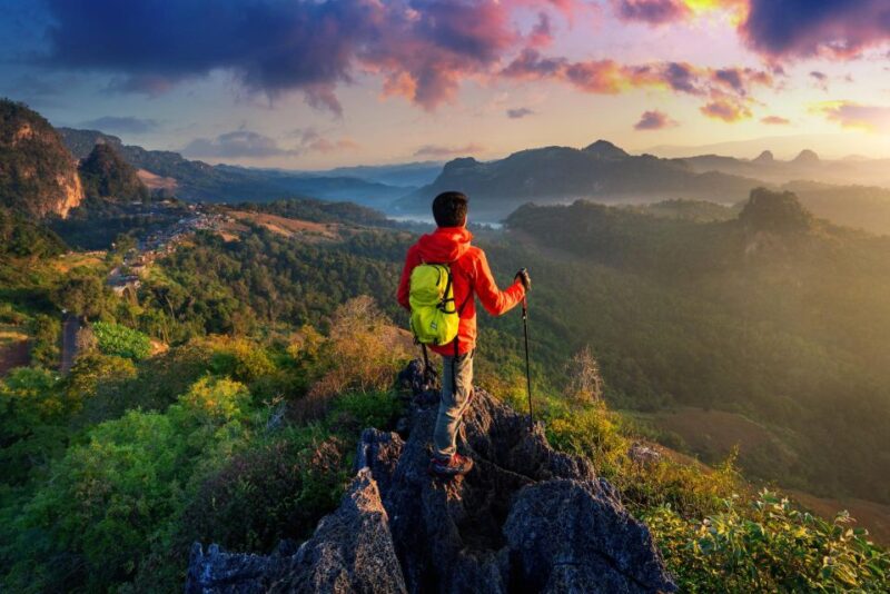 A Day in Munnar: Nature, Culture, and Local Flavor - Itinerary Highlights
