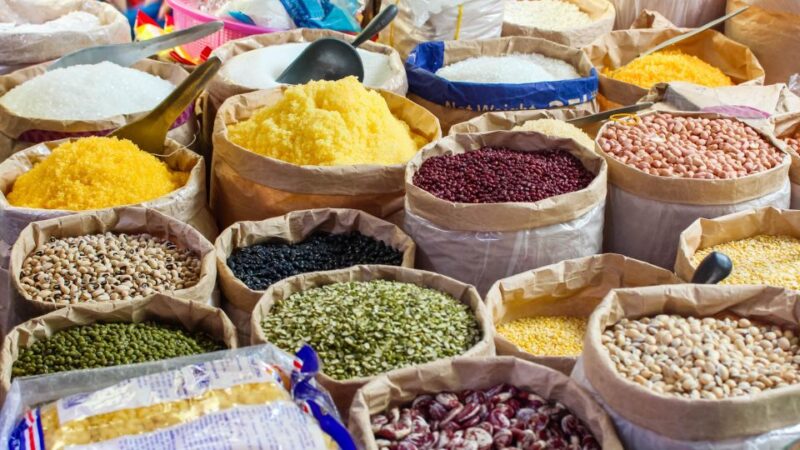 A Day in Munnar: Nature, Culture, and Local Flavor - Inclusions and Transportation