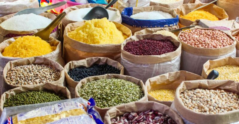 A Day in Munnar: Nature, Culture, and Local Flavor - Customer Reviews