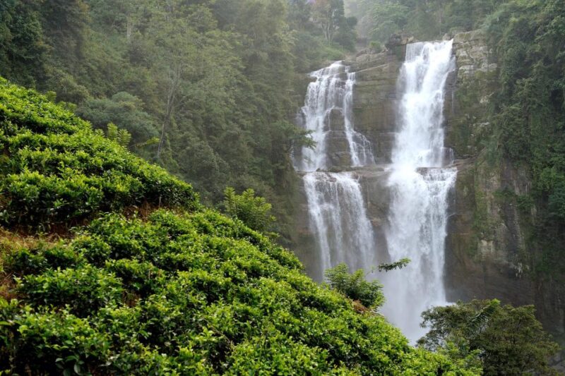 A Day in Munnar: Nature, Culture, and Local Flavor - Frequently Asked Questions