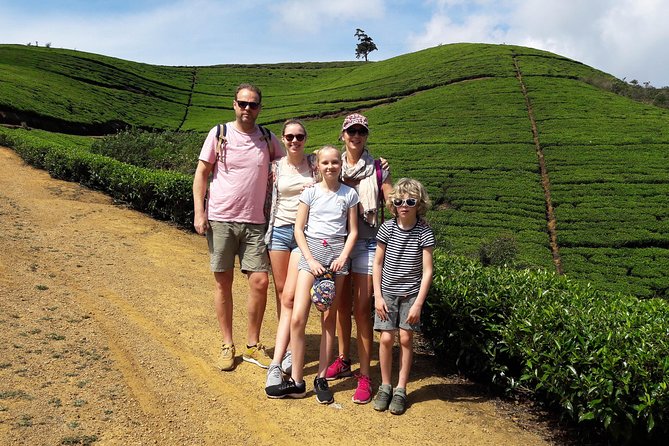 A Day in Nuwara Eliya: Sights & Local Delights - Exploring Tea Estates and Plantations