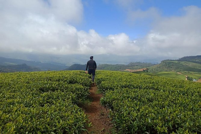 A Day in Nuwara Eliya: Sights & Local Delights - Navigating Nuwara Eliyas Transportation