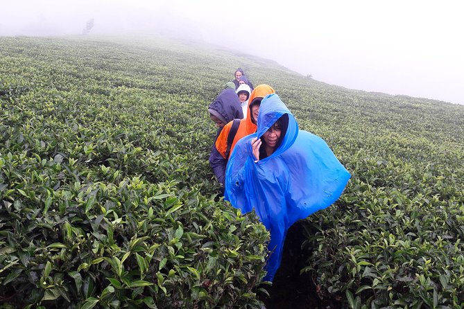 A Day in Nuwara Eliya: Sights & Local Delights - Customizing Your Nuwara Eliya Experience