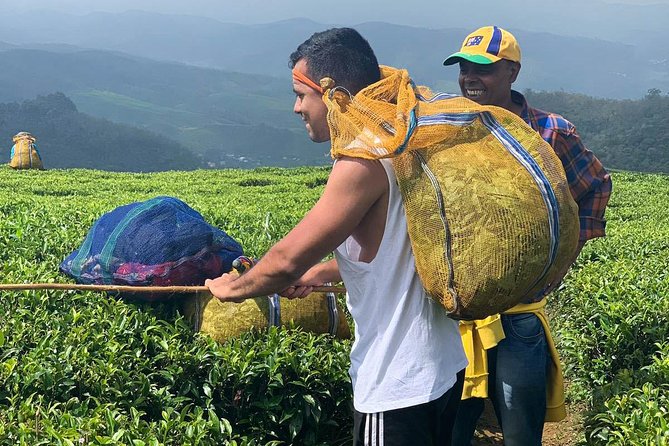 A Day in Nuwara Eliya: Sights & Local Delights - Reviewing the Nuwara Eliya Adventure