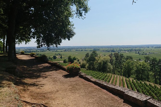 A Day in Saint-Émilion and Its Châteaux in a Private Tour (Van Luxe) - Transportation and Amenities